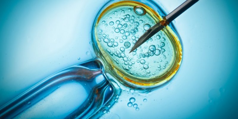 Tratamentos de reprodução humana crescem 19% no Brasil